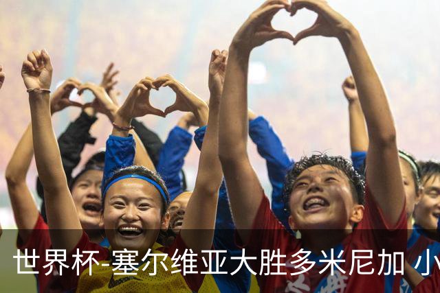 世界杯-塞尔维亚大胜多米尼加 小组第二进八强